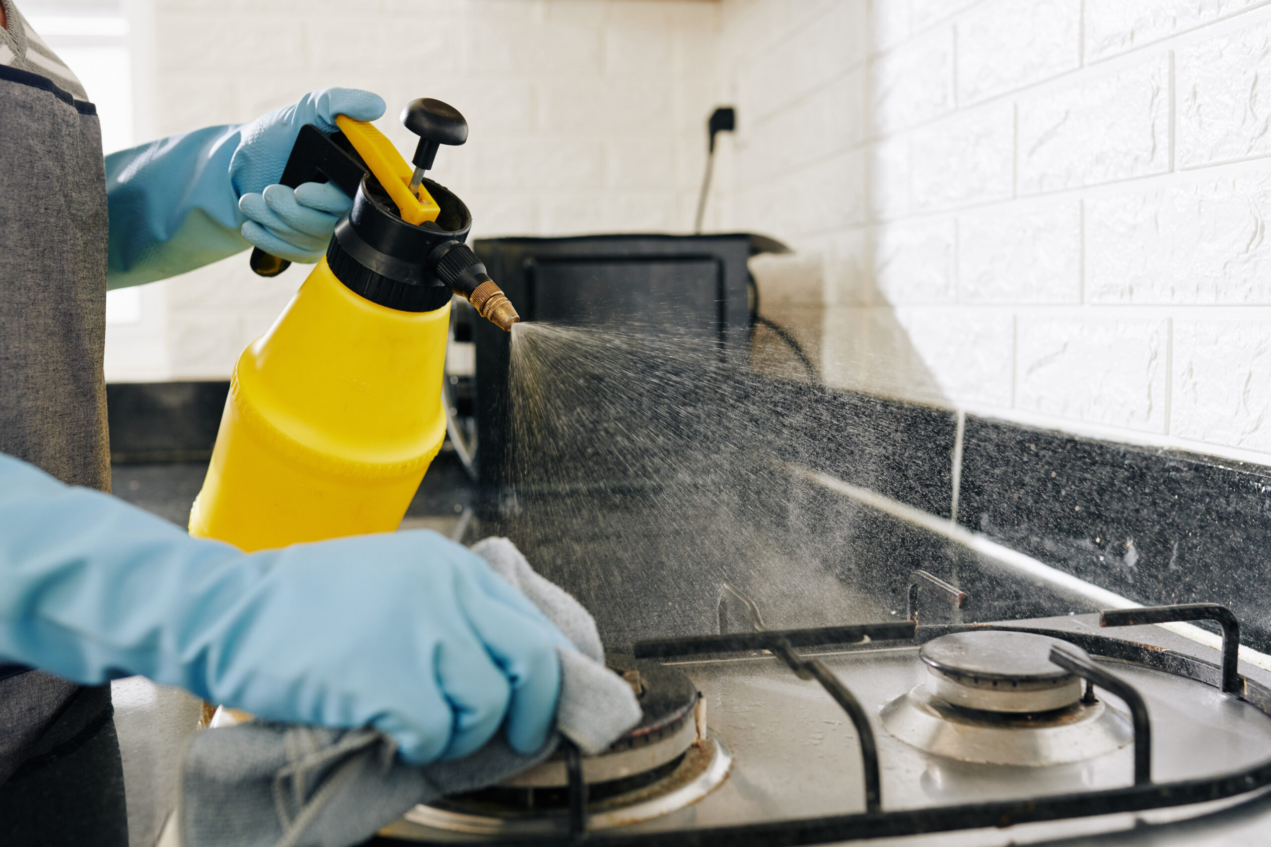 What is professional kitchen cleaning? – Coronavirus special